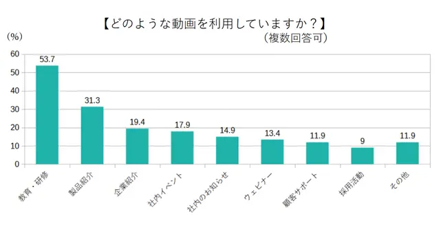 どのような動画を利用しているか